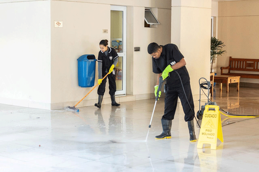 Limpeza Profissional